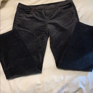 Soft Velvet gorgeous grey - Ann Taylor Pants